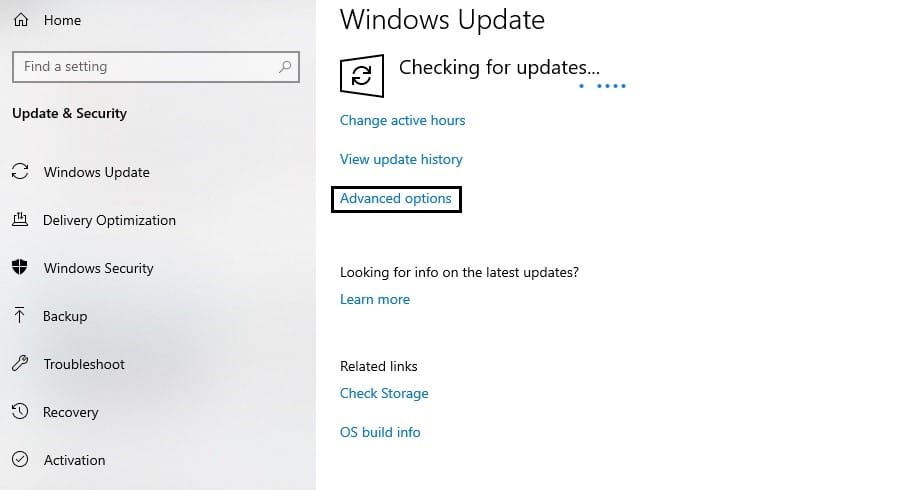 window update Advanced Options