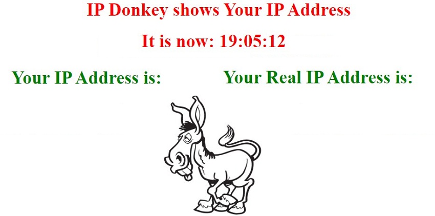 IP Donkey over view