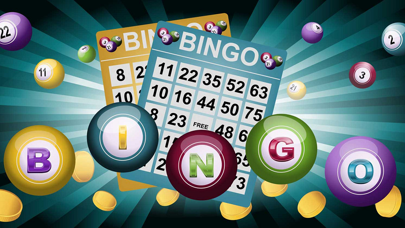 The Growth of Online Bingo