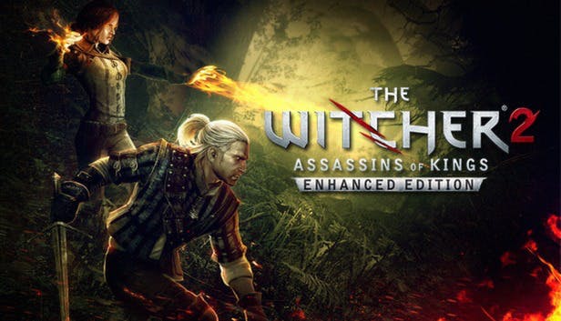 The Witcher 