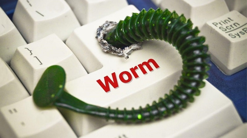 Computer Worms