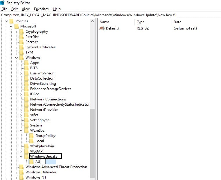 Creating WindowsUpdate key