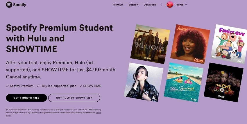 Hulu student discount page