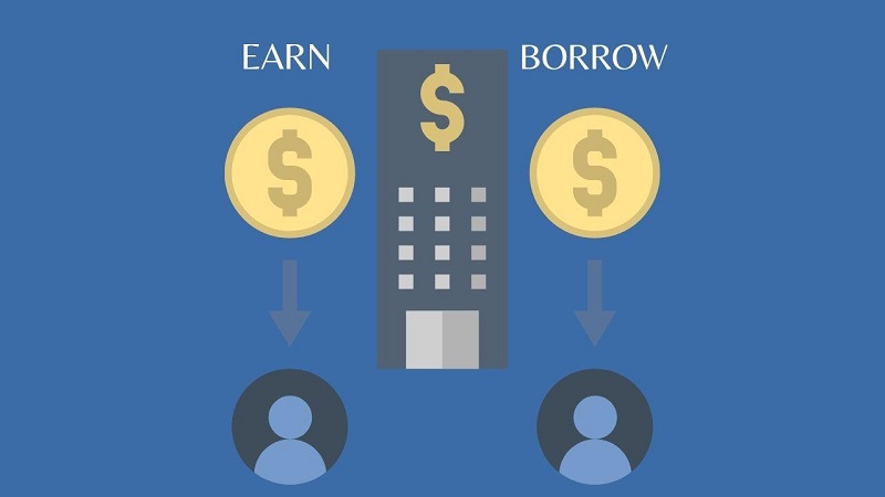 Earn or Borrow