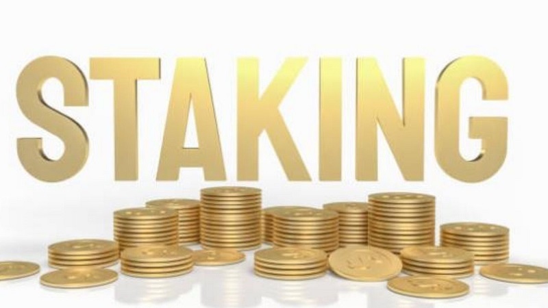 Staking Coin