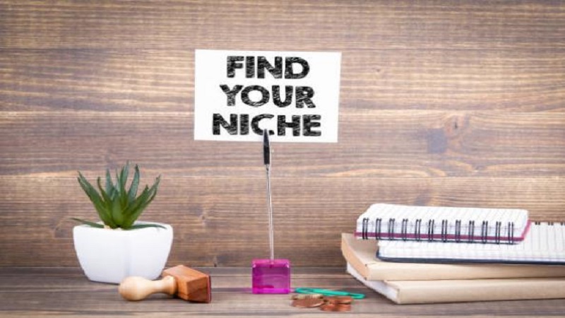 Find a Niche