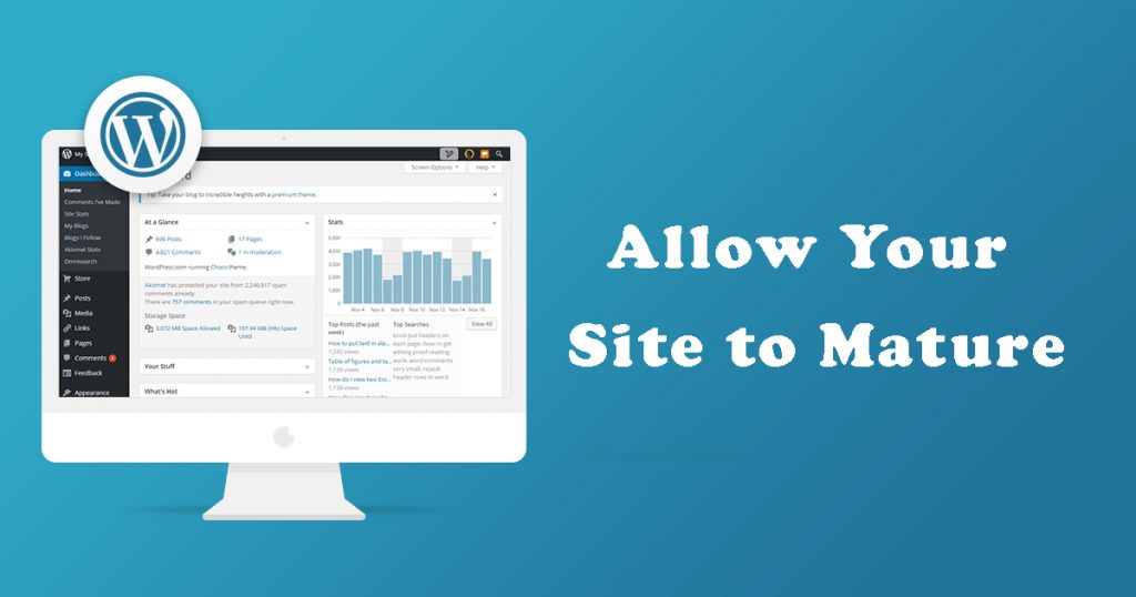 Allow Your Site to Mature
