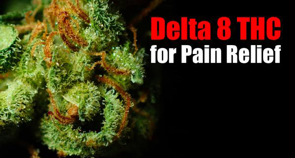 Delta-8 Treat Pain
