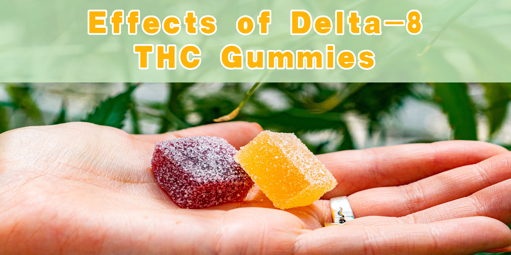 Effects of Delta-8 THC Gummies