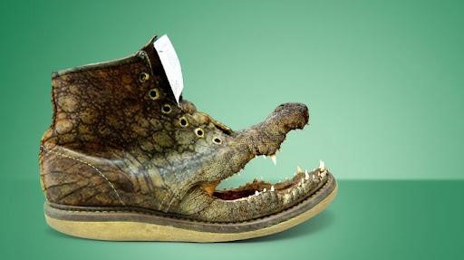 Crocodile leather shoes