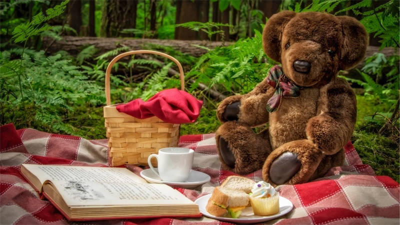 Teddy Bear's Picnic Activity Ideas