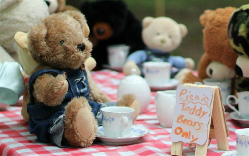 Things To Do At A Teddy Bear Picnic