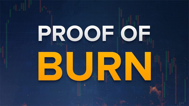 What Is Proof-of-Burn