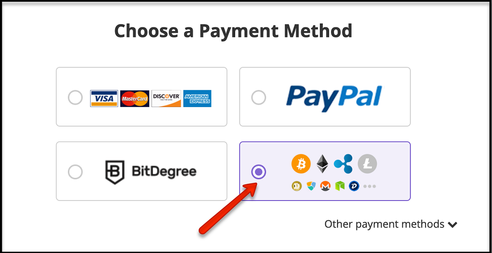 bitcoins as a payment option