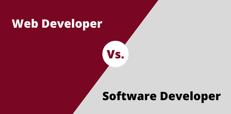 Differentiating between Software and Web Development
