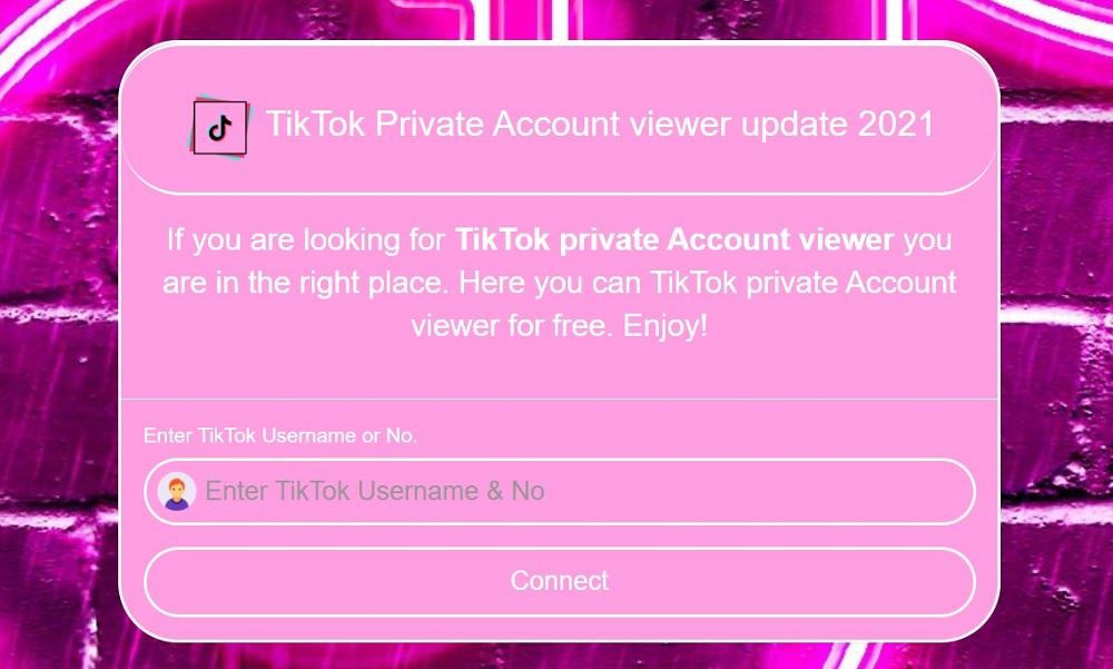 Private TikTok Viewer Overview