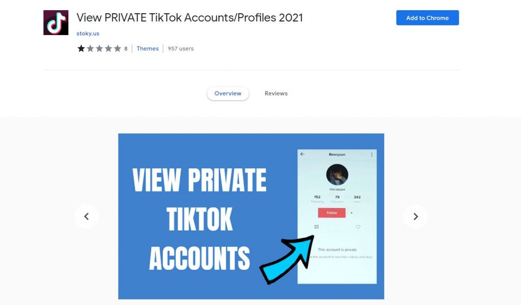 View Private TikTok Accounts
