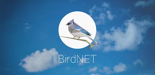 BirdNET — Bird sound identification