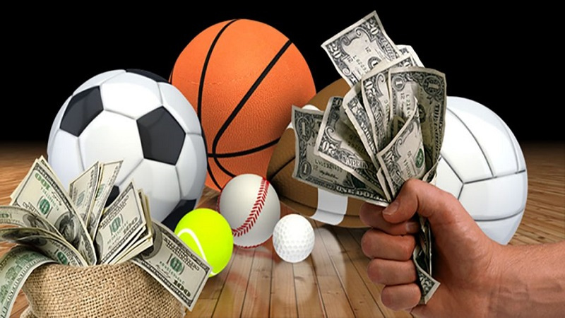 The Strangest Sports to Bet On