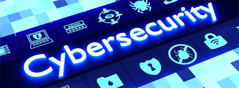 Common Cybersecurity Measures