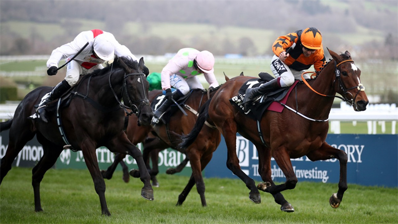 Nube Negra’s connections have sights set on Champion Chase