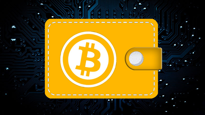 What is a Bitcoin Wallet
