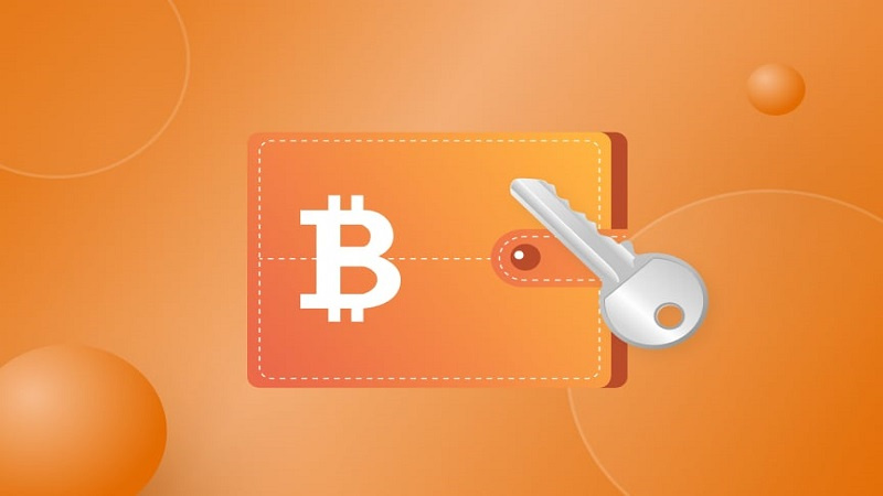 Knowing About Cryptographic Keys Used In Bitcoin Wallets