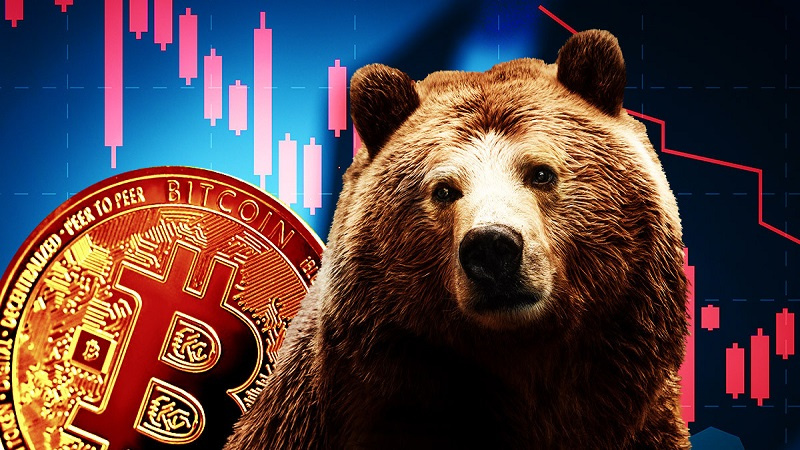 The Reasons for the End of Bitcoin's Bear Market