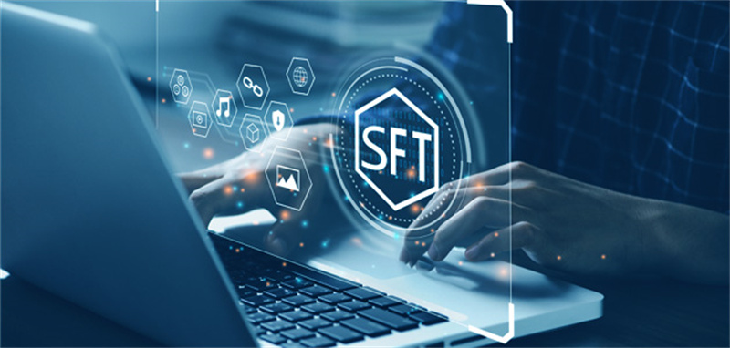 Benefits of SFT Token