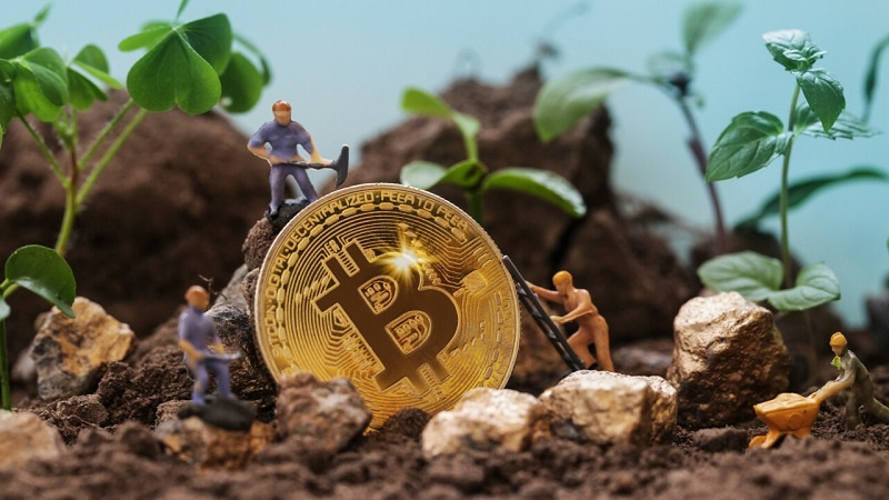 Environmental Changes by Bitcoin Mining in Mozambique