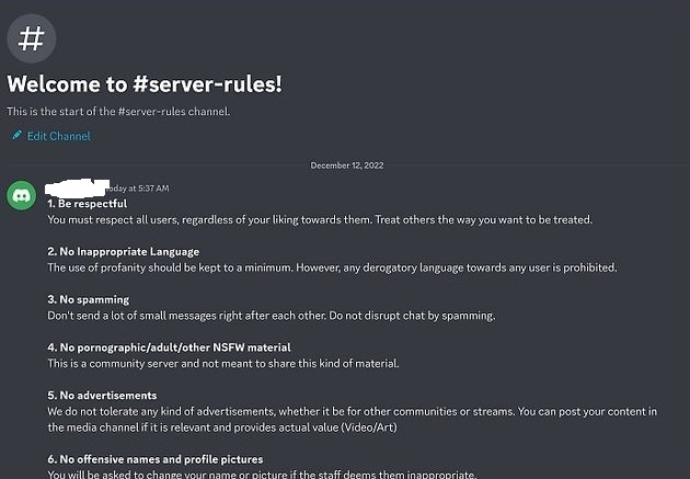 Why Discord Servers Rules are Important
