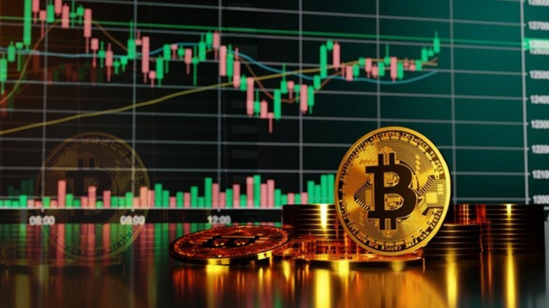 Biggest Crypto Exchanges for Beginner Traders