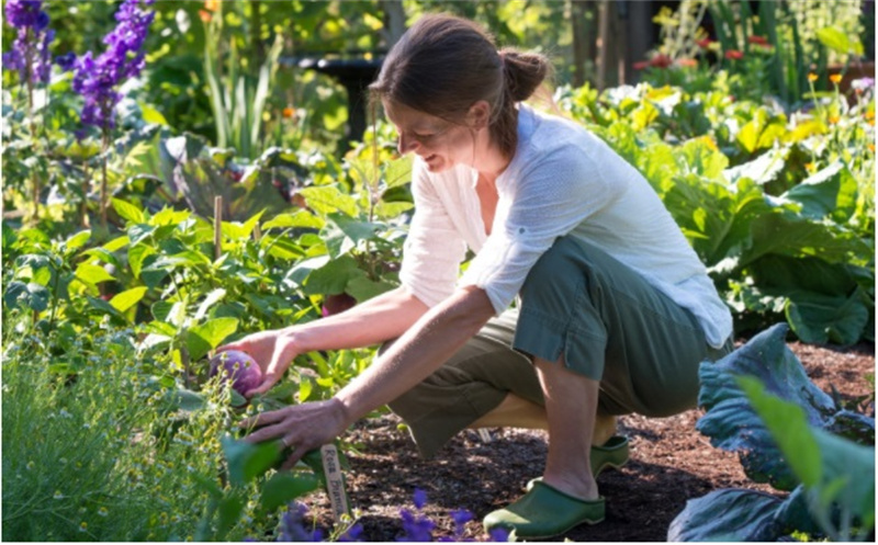 The Significance of Home Gardening