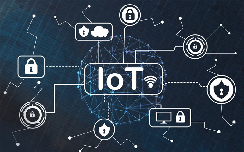 The Vulnerabilities of IoT Devices