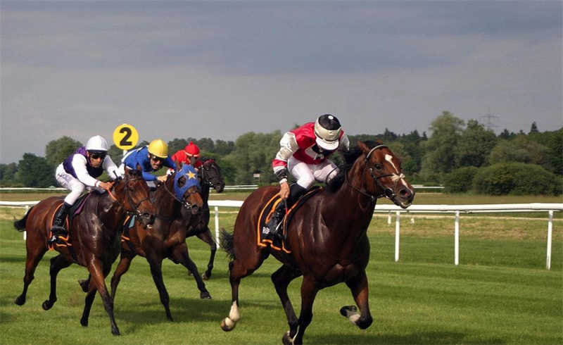 What’s the Historical Background of Horse Racing