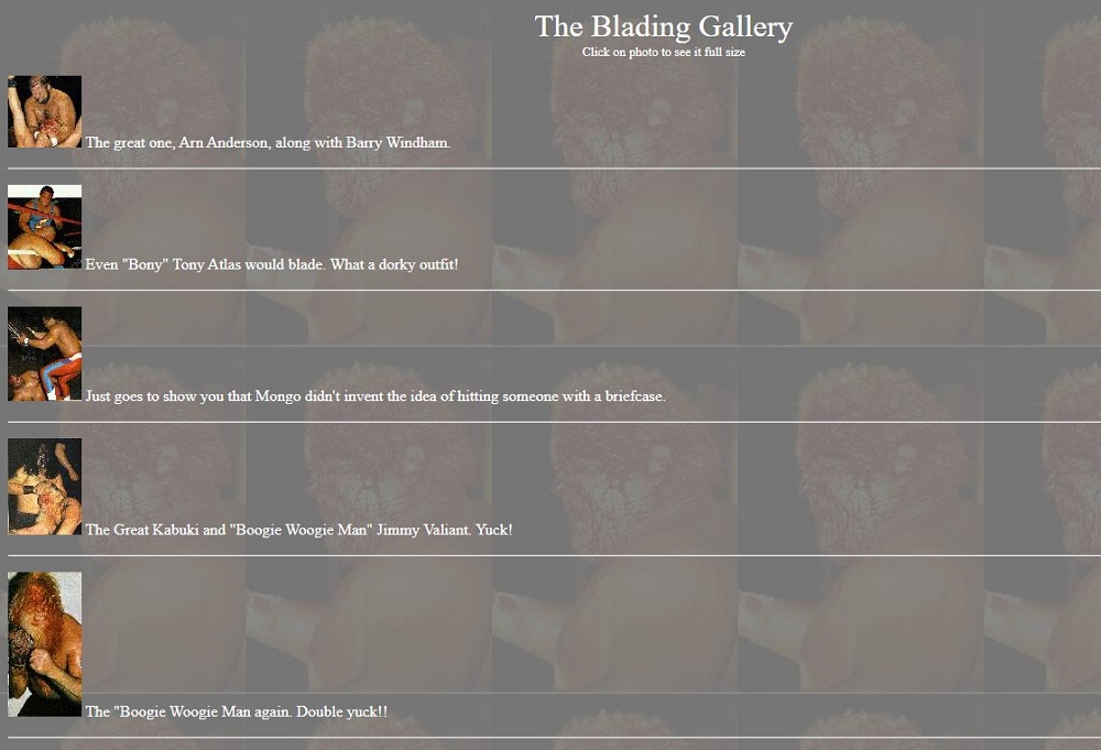 The Blading Gallery Overview