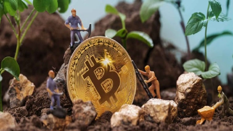 Unearthing the Bitcoin