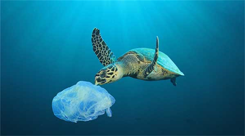 Reducing Plastic Pollution