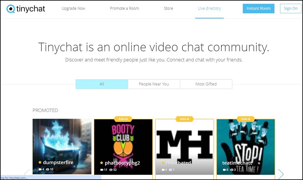 Tinychat Overview